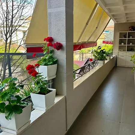 Apartment Guza *