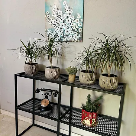 Guza Apartment